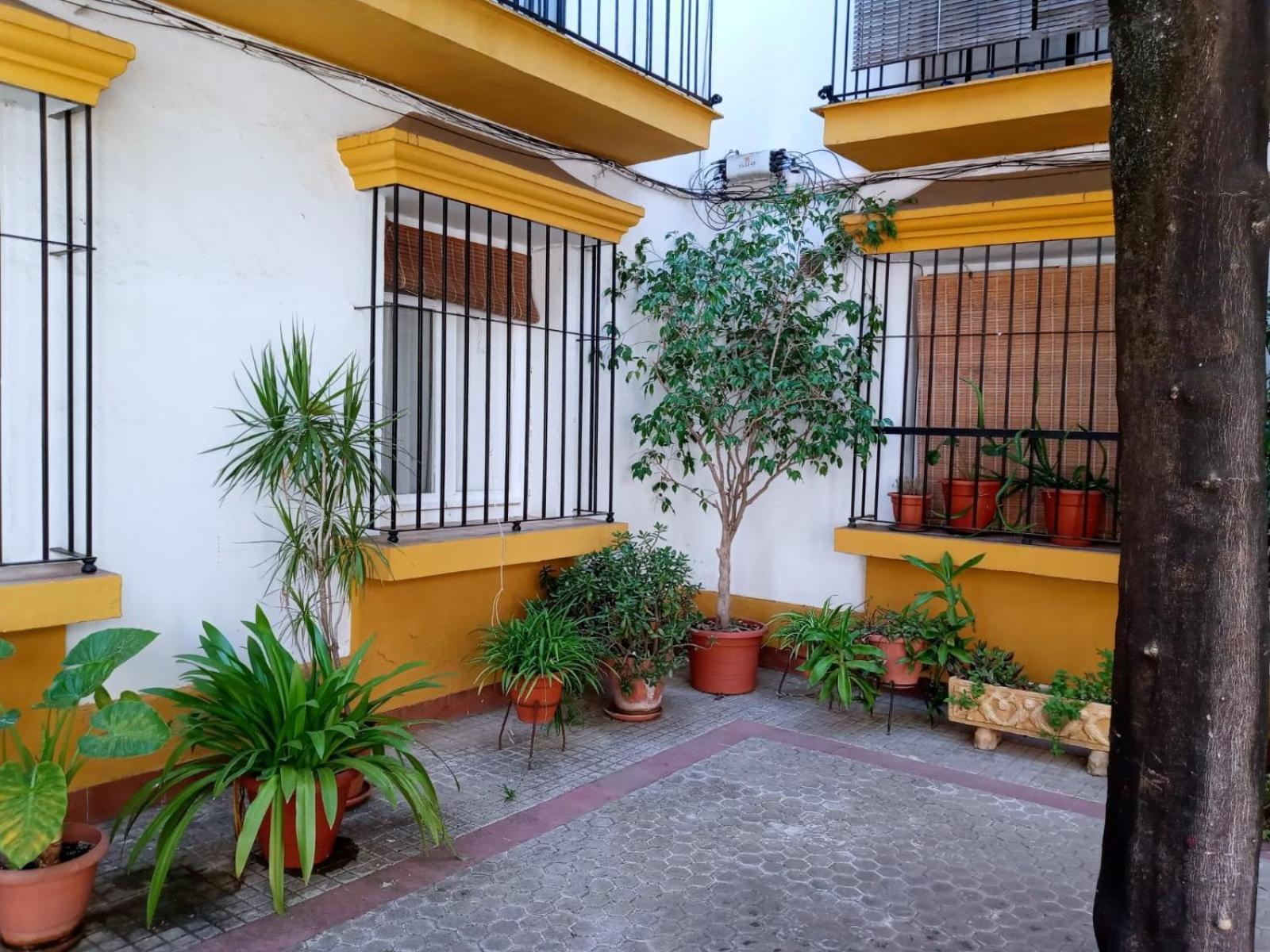 Roberta'S Guest House Sevilla Exteriér fotografie